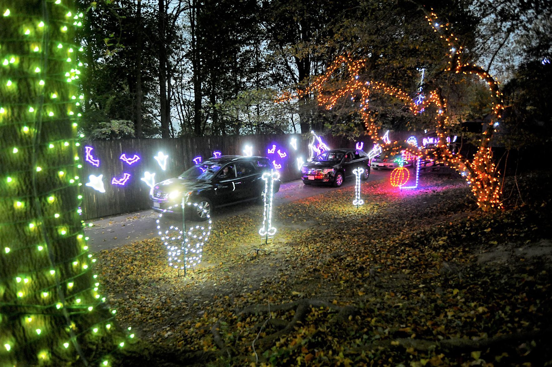 Halloween Glow at the Racine Zoo